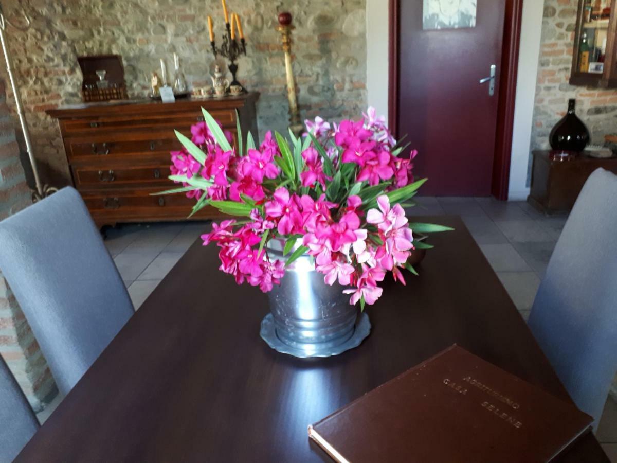 Casa Selene Rocchi Villa Savignano sul Panaro Buitenkant foto